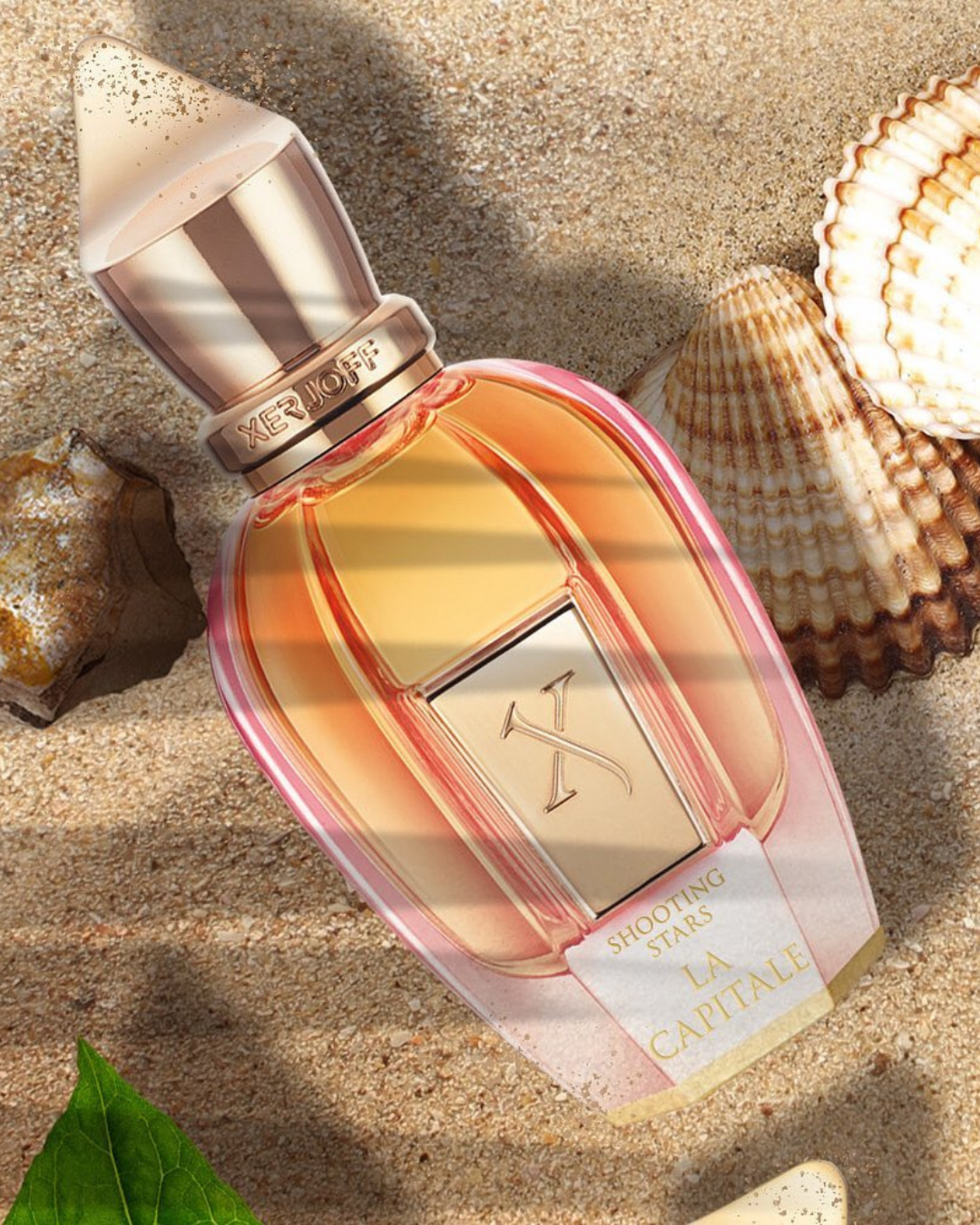 arte pack perfumes